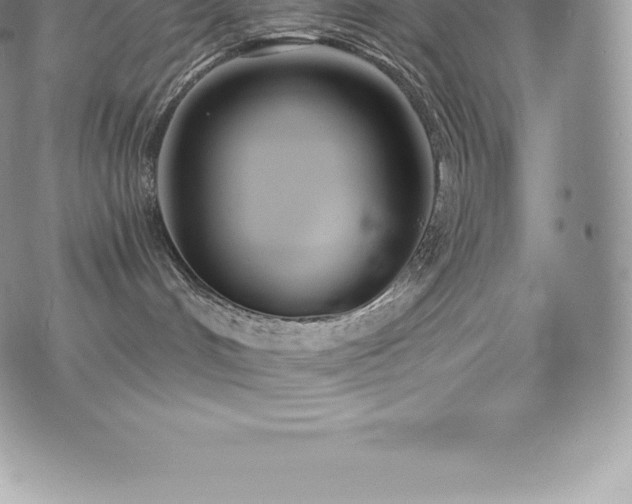 X0000073900048200608111141