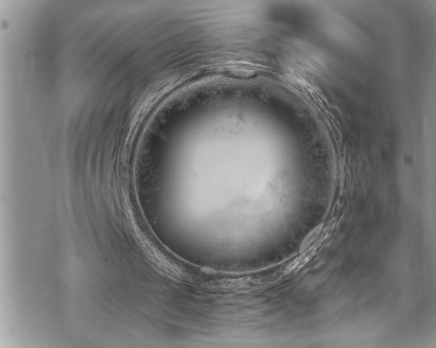 X0000073900049200608111140