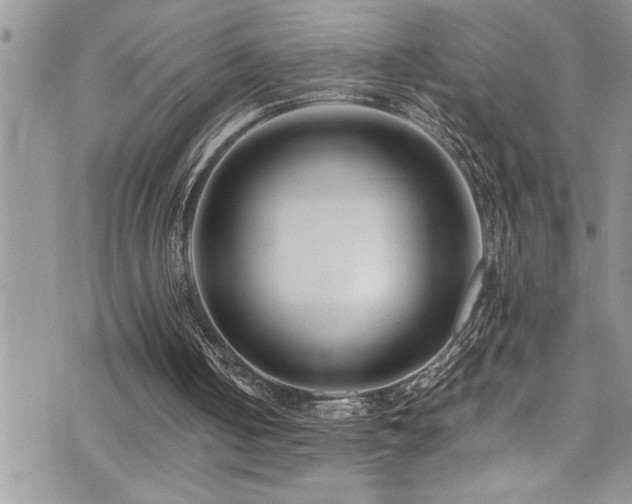 X0000073900050200608111140