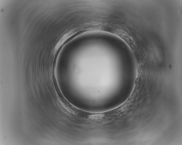 X0000073900051200608111140