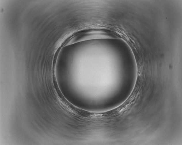 X0000073900052200608111140