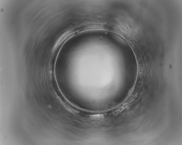 X0000073900053200608111140