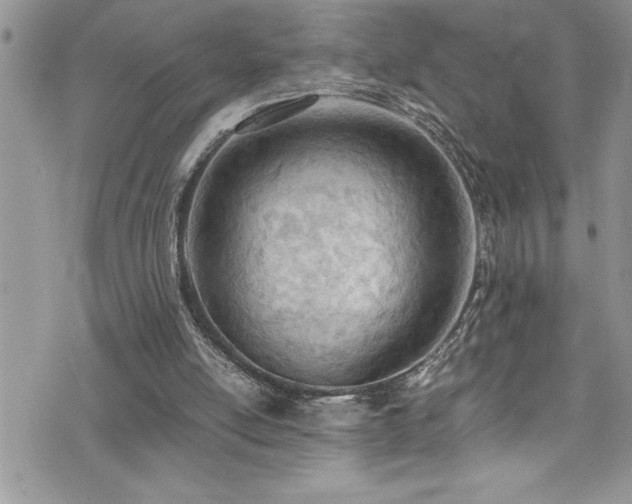 X0000073900054200608111140