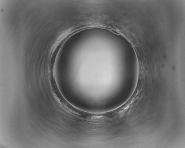 X0000073900055200608111140