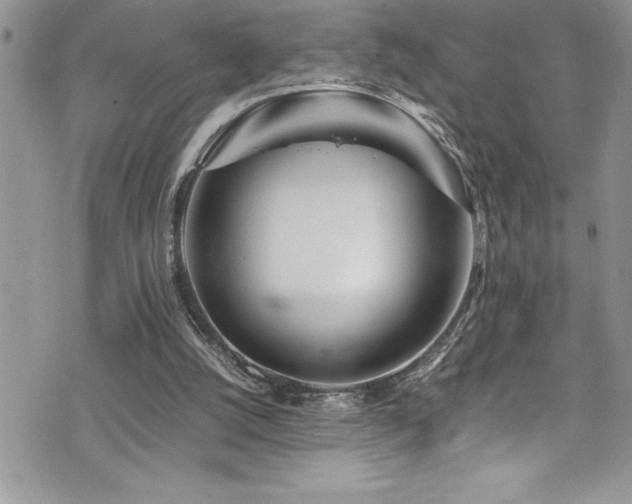 X0000073900056200608111140