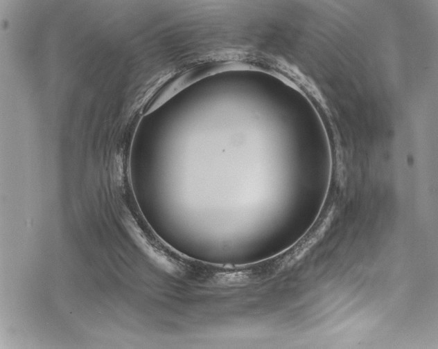 X0000073900057200608111140