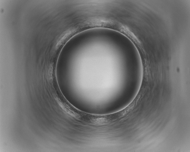 X0000073900058200608111140