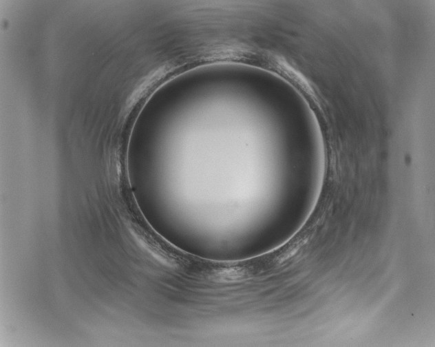 X0000073900059200608111140