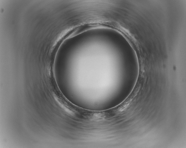 X0000073900060200608111140