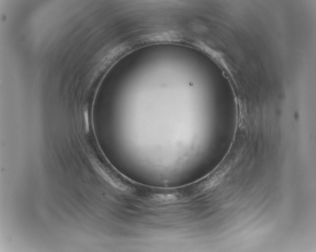 X0000073900061200608111140