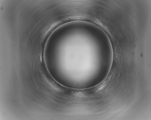 X0000073900062200608111140