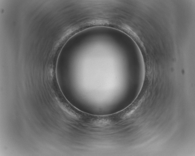 X0000073900063200608111140