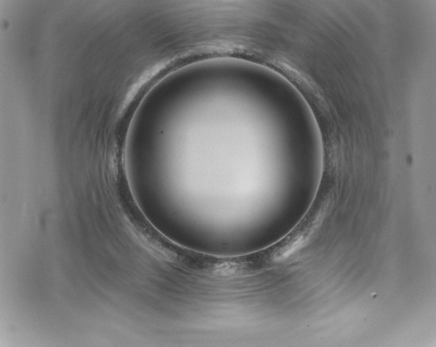 X0000073900064200608111140