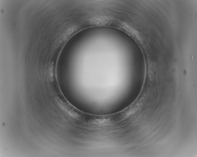 X0000073900065200608111140