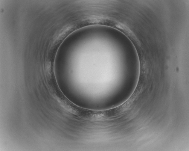 X0000073900066200608111140