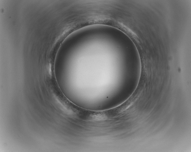 X0000073900067200608111140