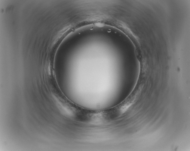 X0000073900068200608111140