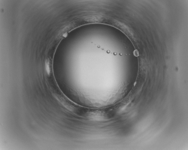 X0000073900069200608111140