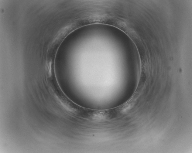 X0000073900070200608111140