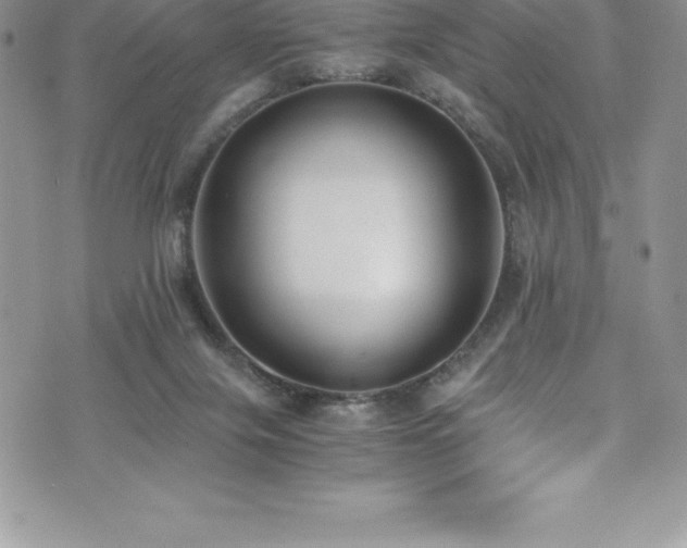 X0000073900071200608111140