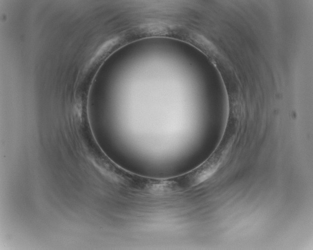 X0000073900072200608111140