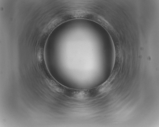 X0000073900074200608111141