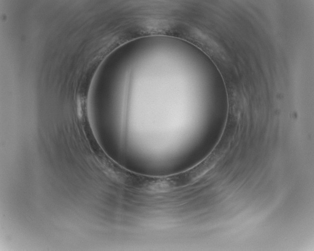 X0000073900075200608111141