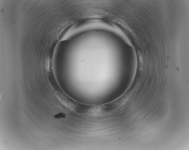 X0000073900076200608111141