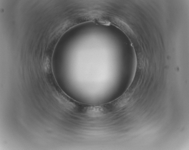 X0000073900077200608111141