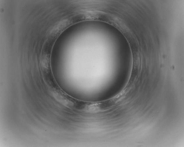 X0000073900078200608111141