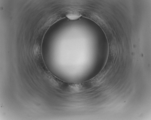 X0000073900079200608111141