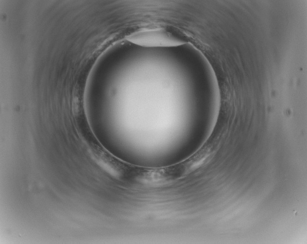 X0000073900080200608111141