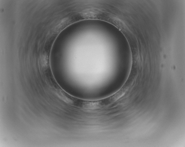 X0000073900081200608111141