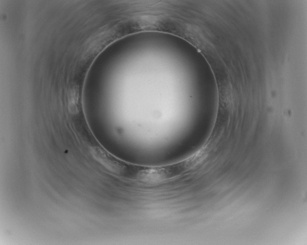 X0000073900082200608111141