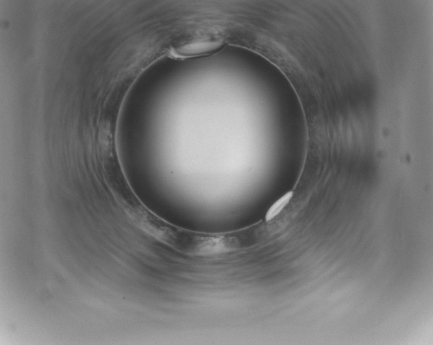 X0000073900083200608111141