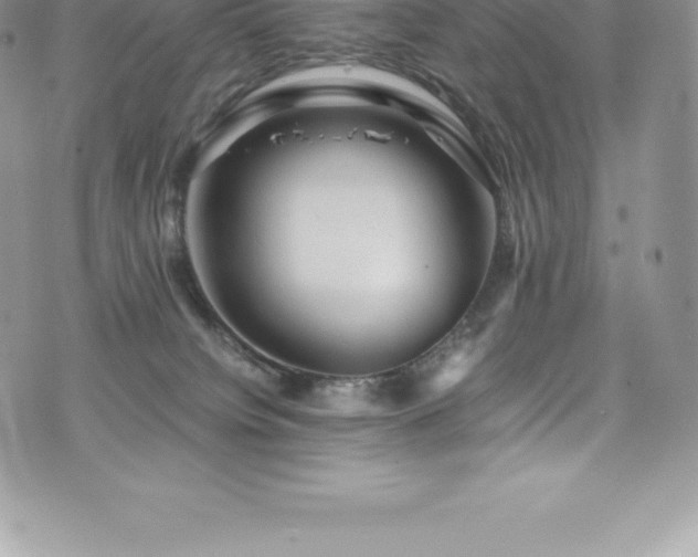 X0000073900084200608111141