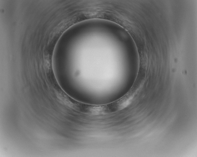 X0000073900085200608111141