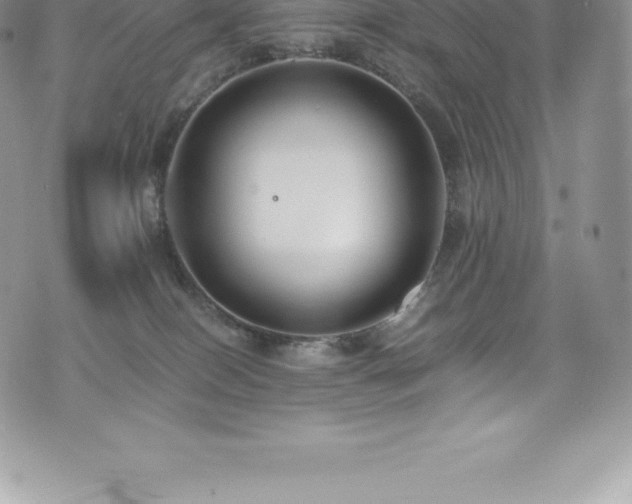 X0000073900086200608111141