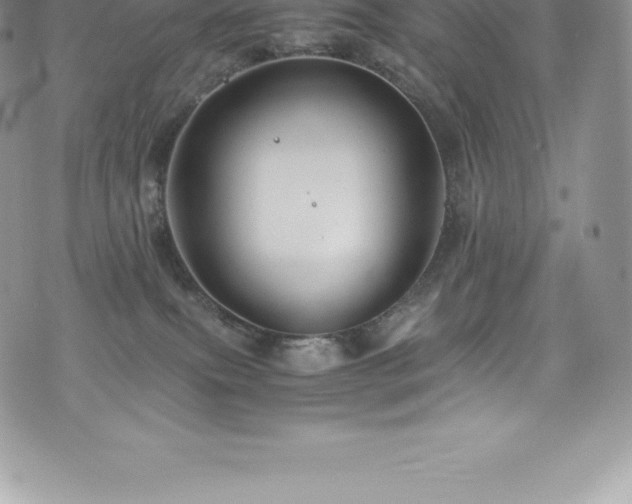 X0000073900087200608111141