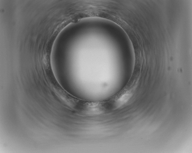 X0000073900088200608111141