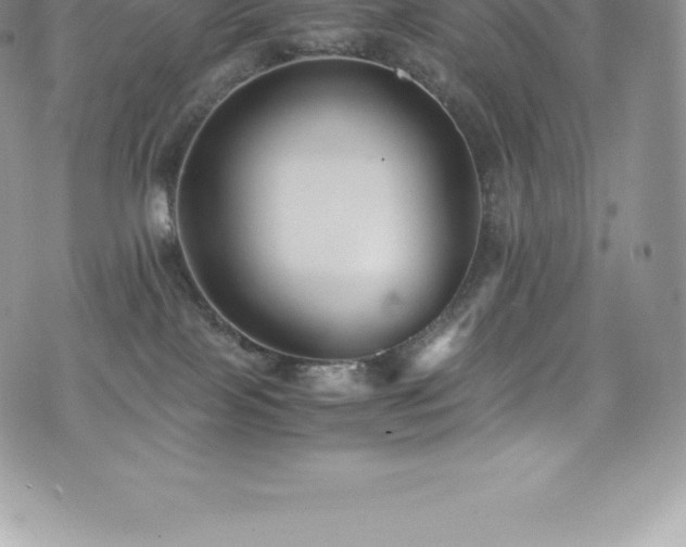 X0000073900089200608111141