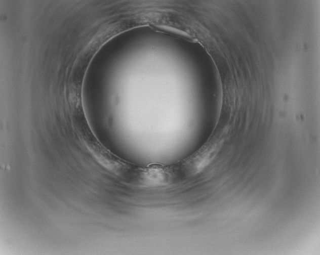 X0000073900091200608111141