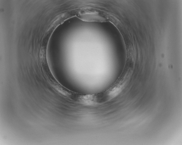 X0000073900092200608111141