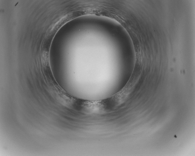 X0000073900093200608111141