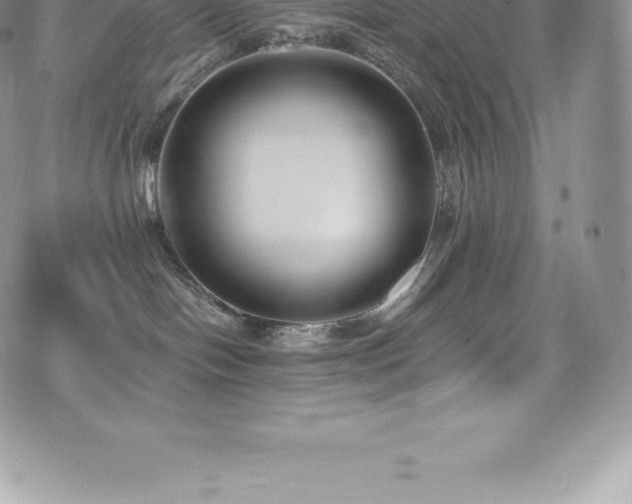 X0000073900094200608111141