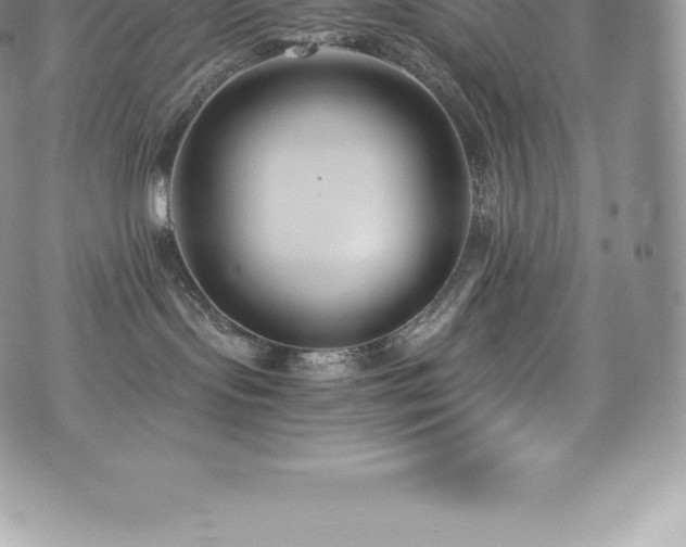 X0000073900095200608111141