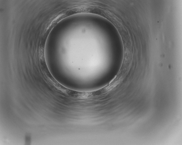 X0000073900096200608111141