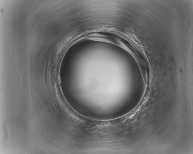 X0000073900097200608111140