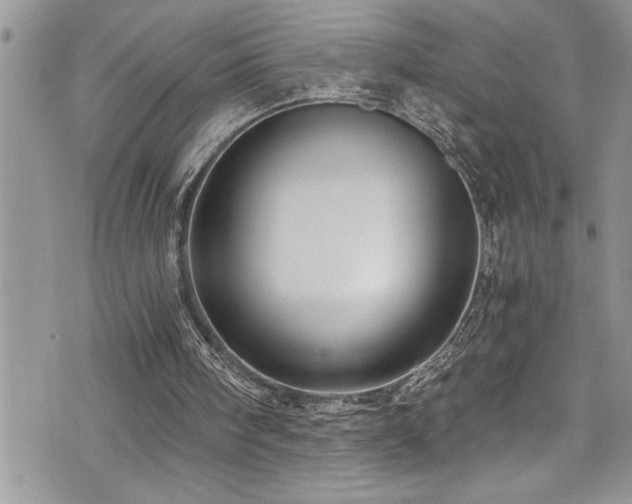 X0000073900098200608111140