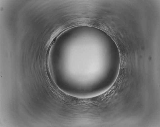 X0000073900099200608111140